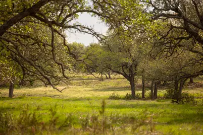 2609 Prochnow Rd, Dripping Springs, TX 78620 - Photo 11
