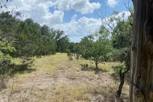 Lot 31 Pedernales Oaks Rd Rd, Johnson City, TX 78636 - Photo 1