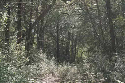 1135 Private Road 7039, Lexington, TX 78947 - Photo 7