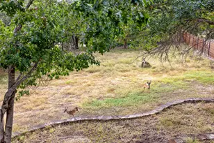 5731 Pool Canyon Cove, Austin, TX 78734 - Photo 9