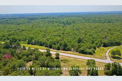 Tbd County Road 405 (+/- 839 Acres), Lexington, TX 78947 - Photo 13