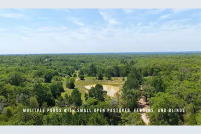 Tbd County Road 405 (+/- 839 Acres), Lexington, TX 78947 - Photo 11