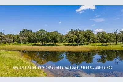 Tbd County Road 405 (+/- 839 Acres), Lexington, TX 78947 - Photo 3