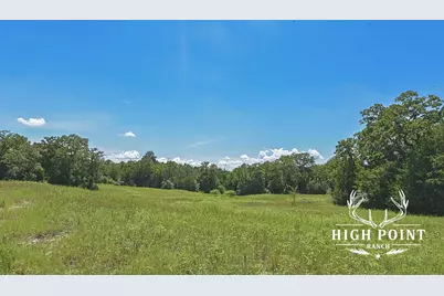 Tbd County Road 405 (+/- 839 Acres), Lexington, TX 78947 - Photo 19