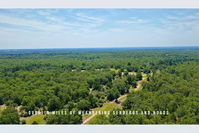 Tbd County Road 405 (+/- 839 Acres), Lexington, TX 78947 - Photo 15