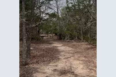 Lot 7 S Old Potato Road, Paige, TX 78659 - Photo 5