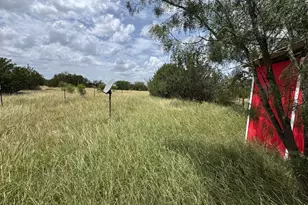 11009 S Hwy 183 Hwy, Briggs, TX 76550 - Photo 17