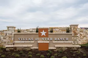 225 Danablu Dr, Hutto, TX 78634 - Photo 39