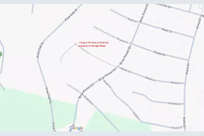 Lot 56 Akala Lane, Bastrop, TX 78602 - Photo 7