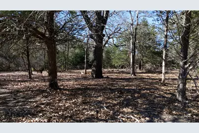 440 Boulton Creek Road, Muldoon, TX 78949 - Photo 27