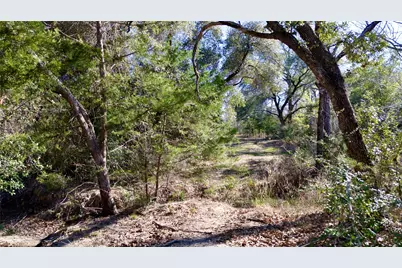 440 Boulton Creek Road, Muldoon, TX 78949 - Photo 19