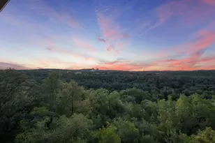 1528 Ben Crenshaw Way, Austin, TX 78746 - Photo 35