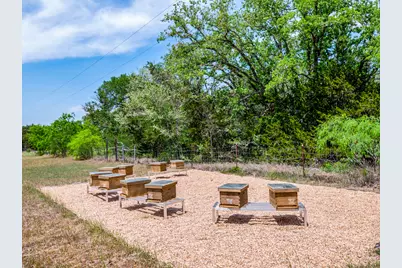 298 Jenkins Road, Cedar Creek, TX 78612 - Photo 7