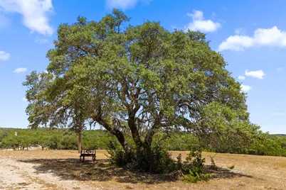 14511 Fm 32, Fischer, TX 78606 - Photo 7