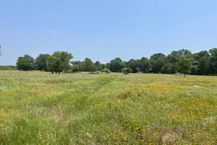 1010 Co Rd 490, Elgin, TX 78621 - Photo 11