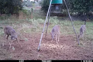 1010 Co Rd 490, Elgin, TX 78621 - Photo 35