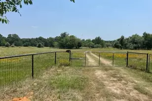 1010 Co Rd 490, Elgin, TX 78621 - Photo 3