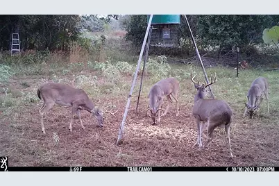 1010 County Road 490, Elgin, TX 78621 - Photo 33