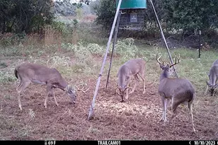 1010 Co Rd 490, Elgin, TX 78621 - Photo 33