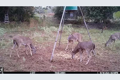 1010 County Road 490, Elgin, TX 78621 - Photo 31