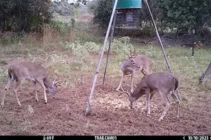 1010 Co Rd 490, Elgin, TX 78621 - Photo 31