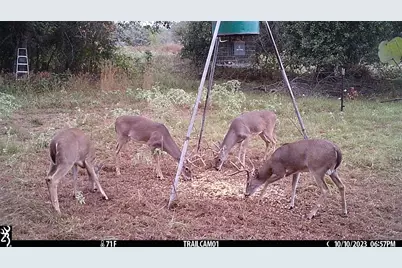 1010 County Road 490, Elgin, TX 78621 - Photo 29