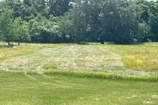 1010 Co Rd 490, Elgin, TX 78621 - Photo 7