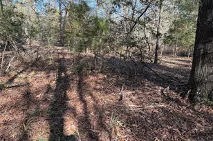 Tbd County Road 301 Tract 7 Rd, Fairfield, TX 75855 - Photo 13
