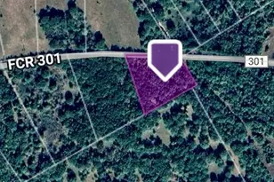 Tbd County Road 301 Tract 7 Rd, Fairfield, TX 75855 - Photo 3