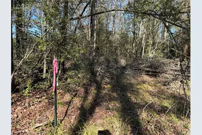 Tbd County Road 301 Tract 7 Road, Fairfield, TX 75855 - Photo 5