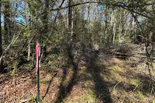 Tbd County Road 301 Tract 7 Rd, Fairfield, TX 75855 - Photo 5