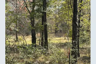 Tbd County Road 301 Tract 7 Road, Fairfield, TX 75855 - Photo 11
