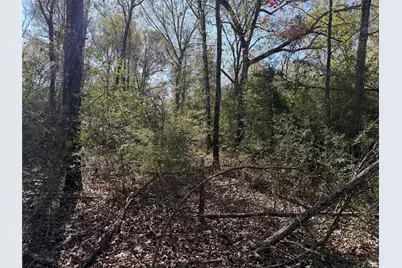 Tbd County Road 301 Tract 7 Road, Fairfield, TX 75855 - Photo 7