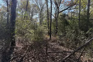 Tbd County Road 301 Tract 7 Rd, Fairfield, TX 75855 - Photo 7