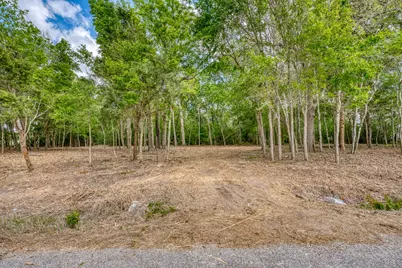 Tbd Beaver Road, Brenham, TX 77833 - Photo 7