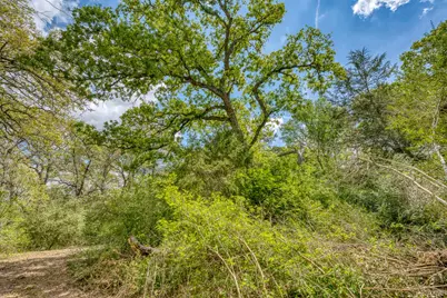 Tbd Beaver Road, Brenham, TX 77833 - Photo 17
