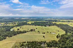 155 Frenzel Cutoff, Paige, TX 78659 - Photo 3