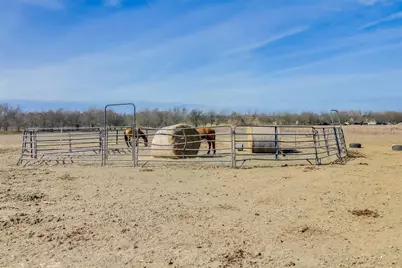 16201 Giese Lane, Manor, TX 78653 - Photo 25