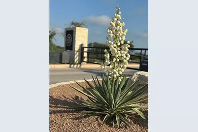 Lot 36 - 6.65 Acres - Round Mountain Reserve Drive, Round Mountain, TX 78663 - Photo 5