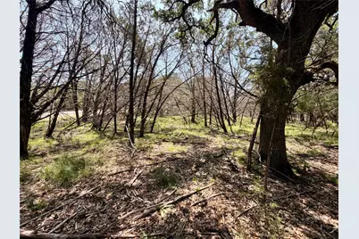 21807 O'Henry Avenue, Lago Vista, TX 78645 - Photo 3