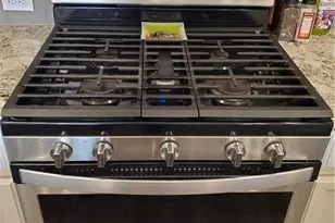 17310 Alturas Ave, Pflugerville, TX 78660 - Photo 5