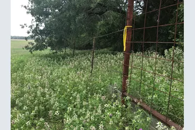 1672 Sayers Road, Bastrop, TX 78602 - Photo 15