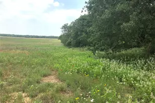 1672 Sayers Rd, Bastrop, TX 78602 - Photo 1