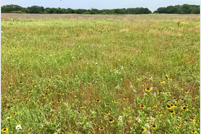 1672 Sayers Road, Bastrop, TX 78602 - Photo 27