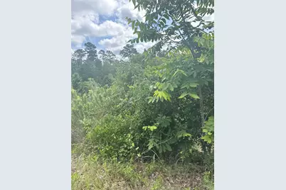 Lot 798 Tahitian Drive, Bastrop, TX 78602 - Photo 5