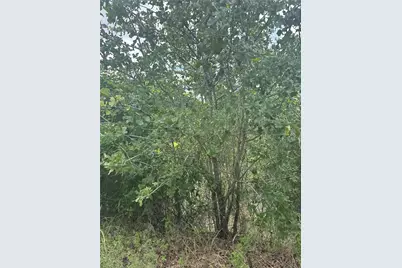 Lot 798 Tahitian Drive, Bastrop, TX 78602 - Photo 3