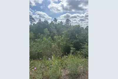 Lot 798 Tahitian Drive, Bastrop, TX 78602 - Photo 1
