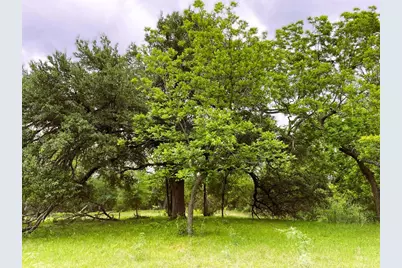 7866 County Road 404, Spicewood, TX 78669 - Photo 9