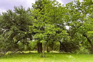 7866 Co Rd 404, Spicewood, TX 78669 - Photo 9