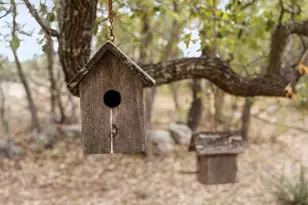 232 Crooked Oak Ln, Round Mountain, TX 78663 - Photo 35